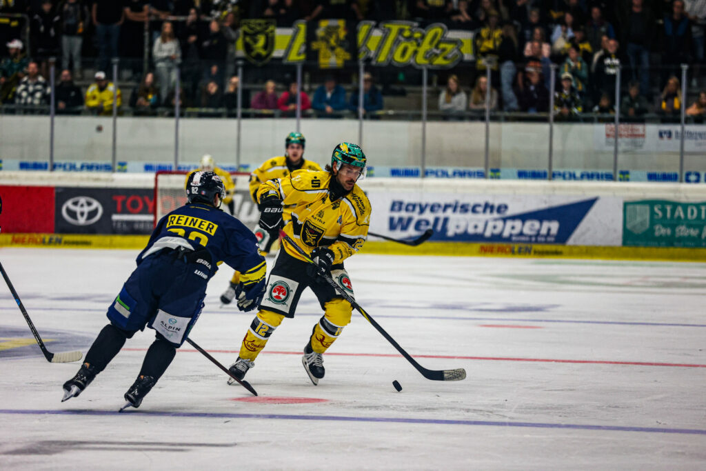 Löwen Eisbären