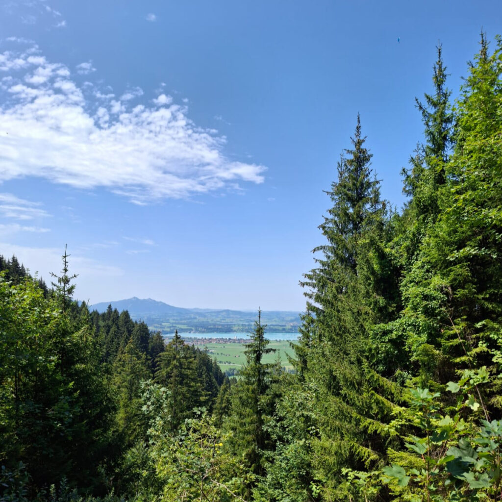 Panoramablick von der Drehhütte bei Schwangau auf den Forggensee und das Allgäuer Voralpenland © Radio Alpenwelle CE2607